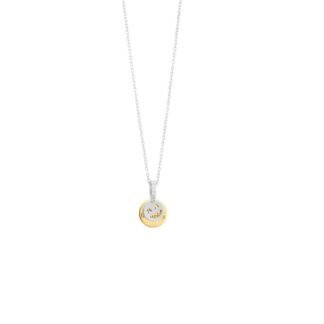 Gold Silver Necklace