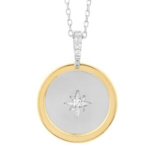 Gray Silver Necklace