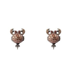 Bicolor Silver Earrings