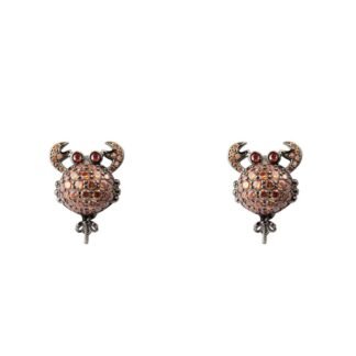 Bicolor Silver Earrings