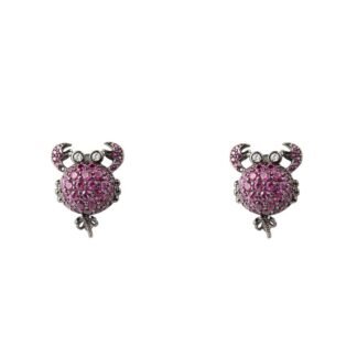 Bicolor Silver Earrings