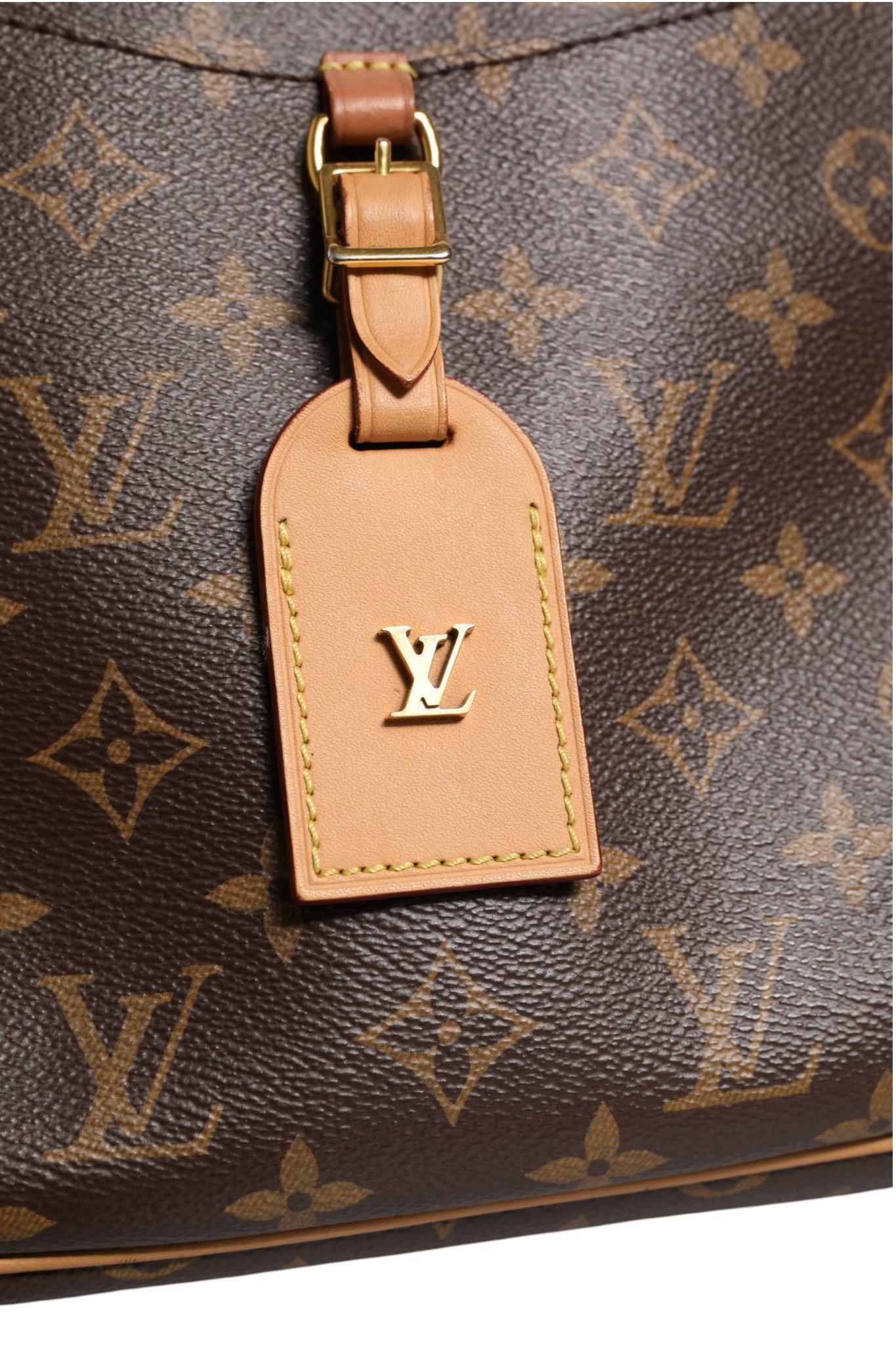 Monogram Canvas Odeon PM Crossbody Bag - Image 2