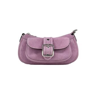 Coach Mini Ashton Suede Shoulder Bag Purse